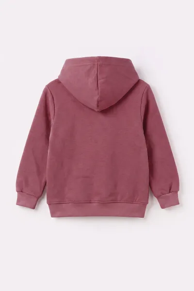 Gül Kurusu (3-12 Yaş) Noktalı Baskılı Kapüşonlu 3 İp Şardonlu Kız Çocuk Sweatshirt 483901