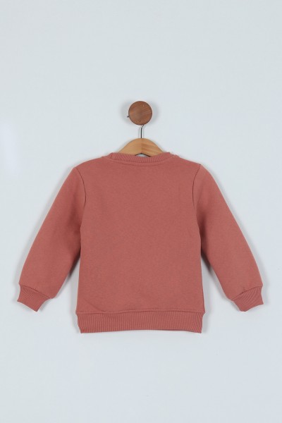 Gül Kurusu (3-7 Yaş) Baskılı 3 İp Erkek Çocuk Sweatshirt 224321