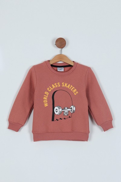 Gül Kurusu (3-7 Yaş) Baskılı 3 İp Erkek Çocuk Sweatshirt 224321