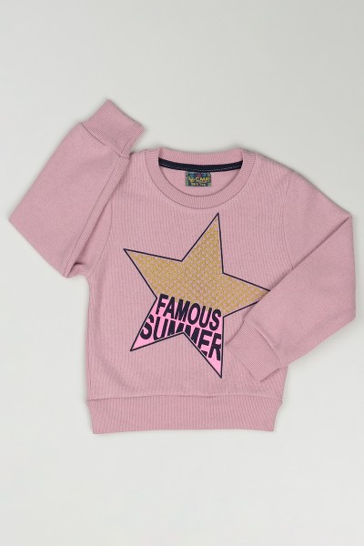 gul-kurusu-3-7-yas-yildiz-baskili-kiz-cocuk-sweatshirt-84762