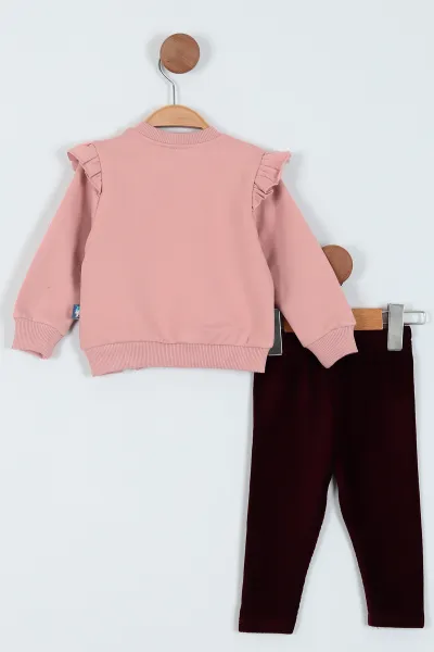Gül Kurusu (9-24 Ay) Baskılı Kız Bebe Takım 226259