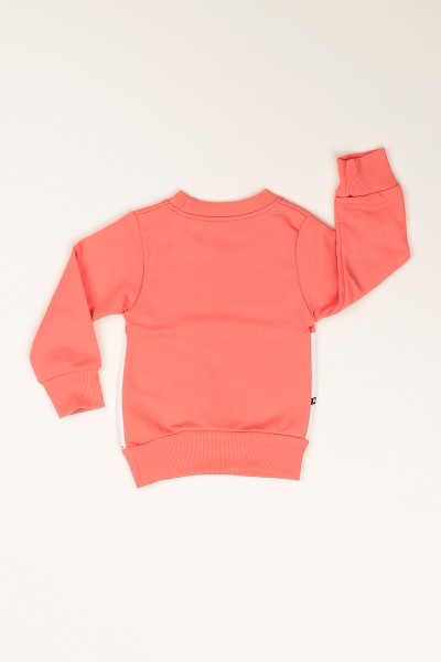 Gül Kurusu İçi Şardonlu Baskılı Kız Çocuk Sweat 77497