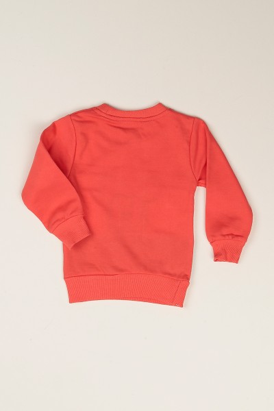 Gül Kurusu Pul İşlemeli Şardonlu Kız Çocuk Sweat 77533