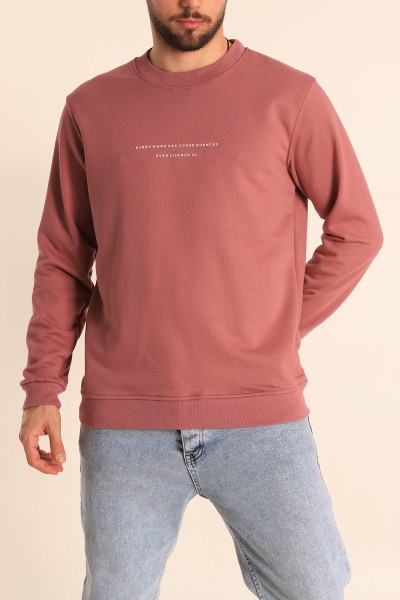 gul-kurusu-relaxed-fit-kabartma-yazili-erkek-sweatshirt-221447
