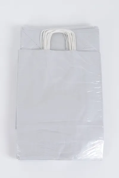 Gümüş 31x12x41 Büküm Saplı Çanta 5'li 301141