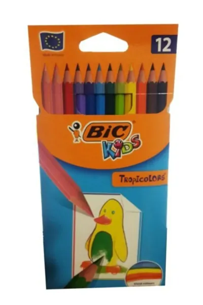 Bic 12 Renk Kuru Boya Kalemi 273978