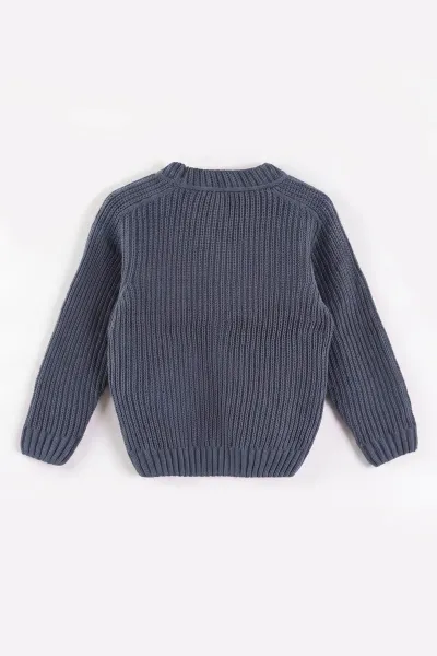 İndigo (2-8 Yaş) Düğmeli Erkek Çocuk Selanik Hırka 474258