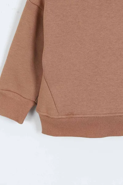 Kahve (0-4 Yaş)Rawr Baskılı  3  İp Şardonlu Erkek Çocuk Sweatshirt 415032