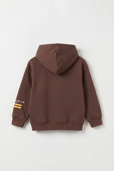 Kahverengi (3-12 Yaş) Baskılı 3 İp Şardonlu Kapüşonlu Erkek Çocuk Sweatshirt 473839