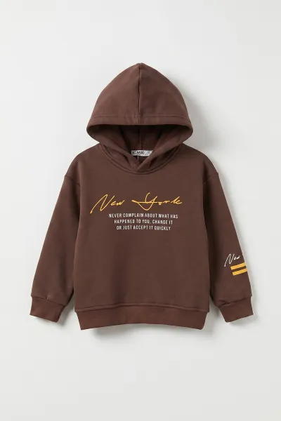 kahverengi-3-12-yas-baskili-3-ip-sardonlu-kapusonlu-erkek-cocuk-sweatshirt-473839