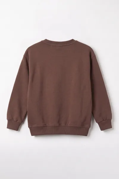 Kahverengi (3-12 Yaş) Dino Baskılı 3 İp Şardonlu Erkek  Çocuk Sweatshirt 483909