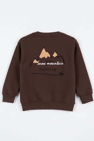 Kahverengi (4-12 Yaş) 3 İplik Şardonlu Erkek Çocuk Sweatshirt 495870