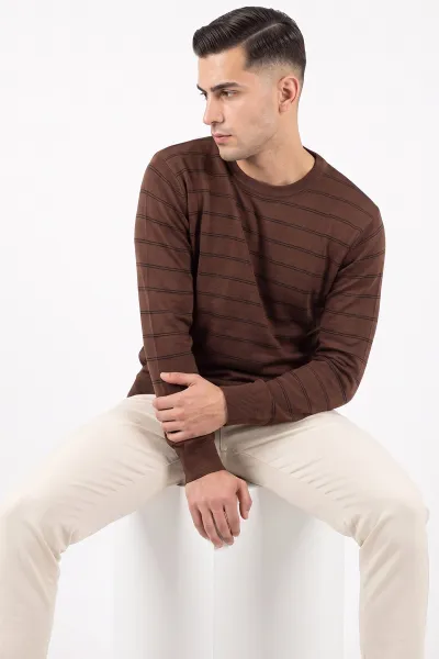 Kahverengi Çizgili Viskon Triko Erkek Sweatshirt 482856