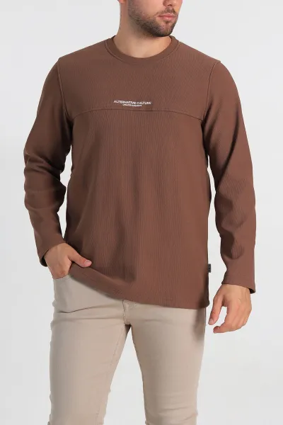 Kahverengi Regular Fit Yazı Detay Erkek Sweatshirt 305886