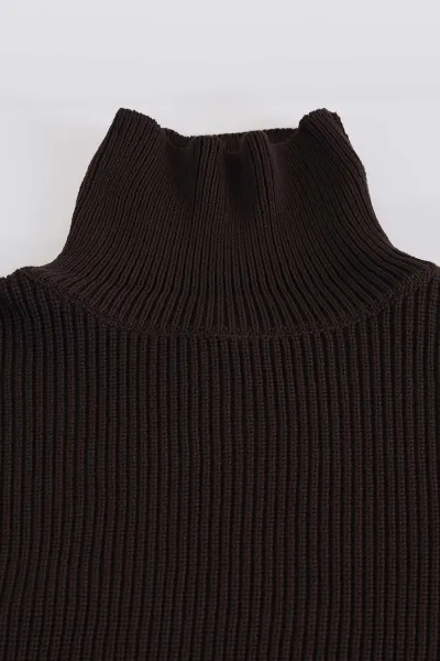 Kahverengi Relaxed Fit Balıkçı Yaka Erkek Triko Kazak 397756