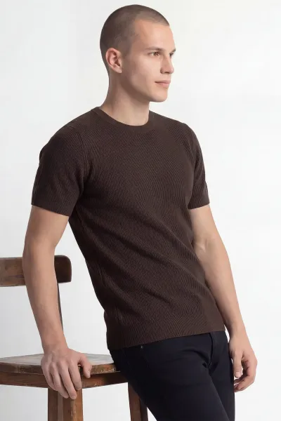 Kahverengi Slim Fit Bisiklet Yaka Triko Erkek Tişört 449044