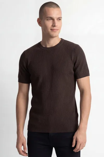 Kahverengi Slim Fit Bisiklet Yaka Triko Erkek Tişört 449044