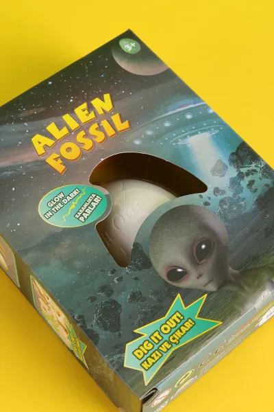 Kazı Seti Fosil Serisi 310735