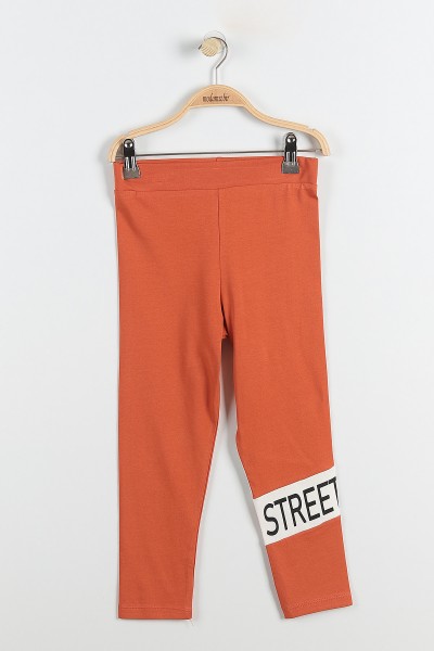 Kiremit (9-12 Yaş) Street Wear Baskılı Kapüşon Detaylı Kız Çocuk Takım 176953