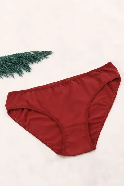 kiremit-ch0850-pamuklu-kadin-bikini-kulot-397367