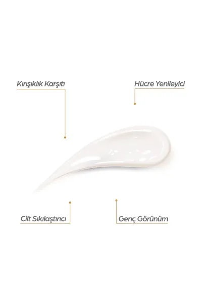 Kırışıklık Karşıtı & Yenileyici Gece Kremi 50 ml 262648