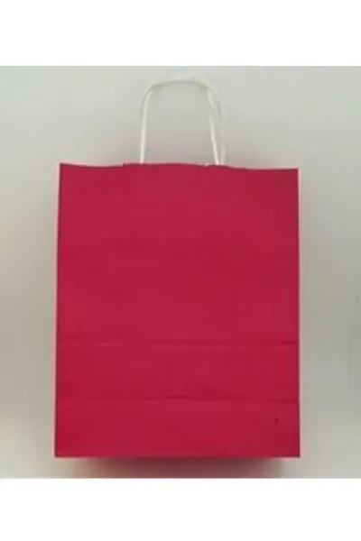 Kırmızı 25x12x31 Büküm Saplı Çanta 5'li 301115