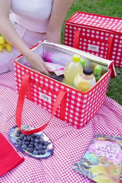 Kırmızı 35x20x20 Termo Piknik Çantası 277613