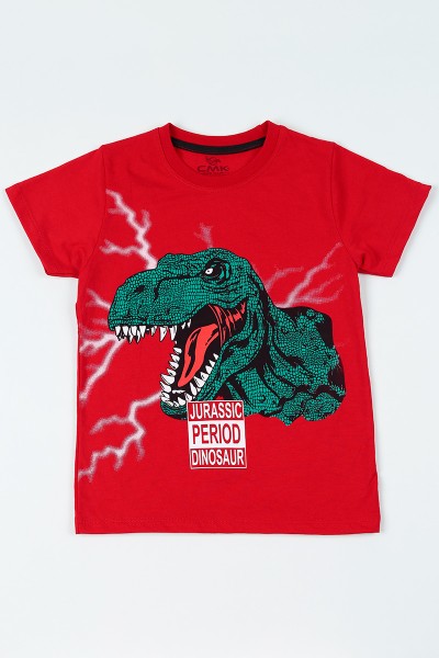 Kırmızı (8-12 yaş) Dinozor Baskılı Erkek Çocuk Tişört 107976