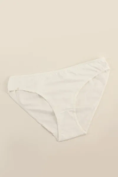 krem-ch0850-pamuklu-kadin-bikini-kulot-282168