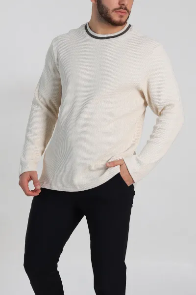 Krem Relaxed Fit Jakarlı Pike Dokulu Erkek İnce Sweatshirt 322366