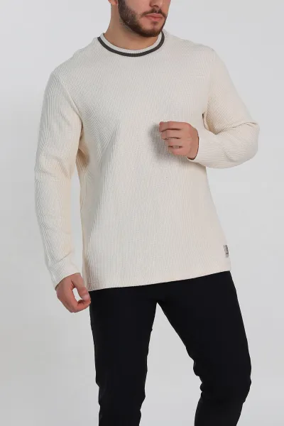 Krem Relaxed Fit Jakarlı Pike Dokulu Erkek İnce Sweatshirt 322366