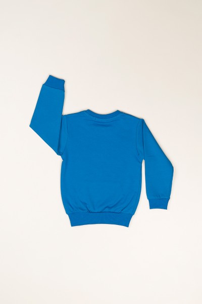 Mavi (5-8 Yaş) Tnecaemni Baskılı Erkek Çocuk Sweatshirt 82541