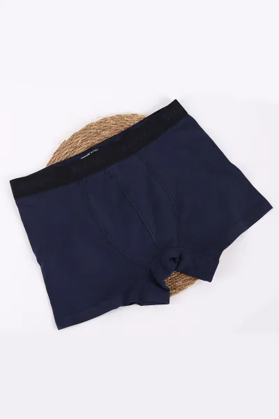 Lacivert Berrak Modal Likralı Erkek Boxer 434371