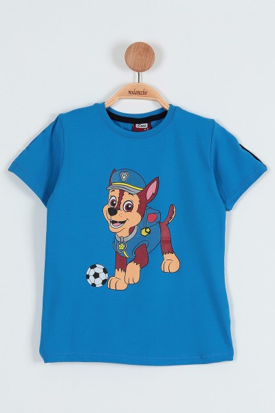 Mavi (5-8 Yaş) Köpek Top Baskılı Erkek Çocuk Tişört 185396