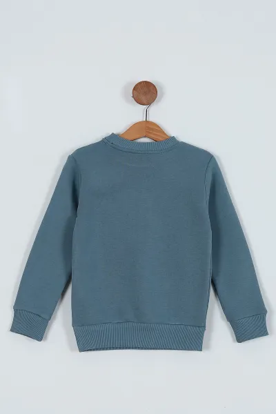 Mavi (5-8 Yaş) Üç İp Şardonlu Baskılı  Erkek Çocuk Sweat 235852