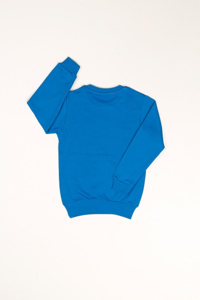 Mavi İçi Şardonlu Dinazor Baskılı Erkek Çocuk Sweat 81014