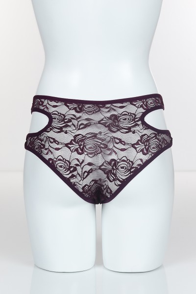 Mor 4145 Bikini Komple Lez Dantel Yanları Kavisli Külot 101821
