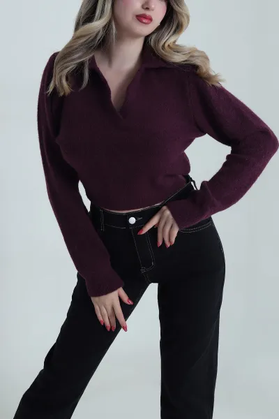 Mor Polo Yaka Jazz Kadın Kazak 485231