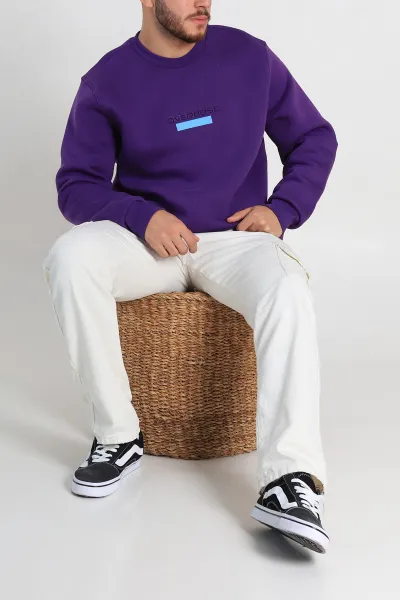 mor-relaxed-fit-uc-ip-sardonlu-yazi-detayli-erkek-sweatshirt-310486