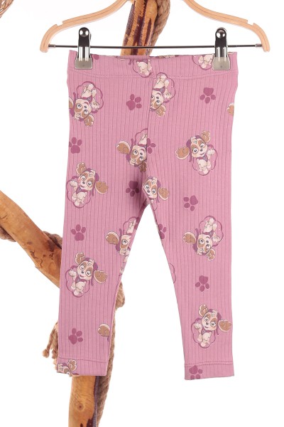 Mürdüm (2-5 Yaş) Skye Köpek Baskılı Oversize Kesim Kız Çocuk Takım 144537