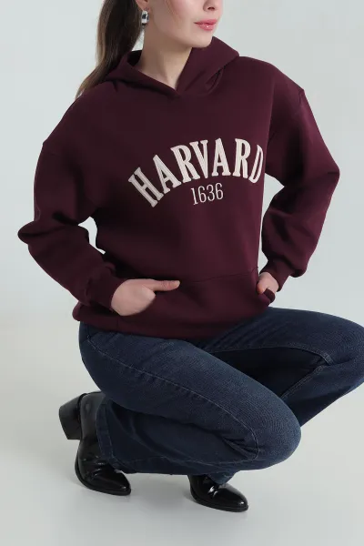 Mürdüm Nakışlı Kapşonlu Şardonlu Üç İp Kadın Sweat 417964