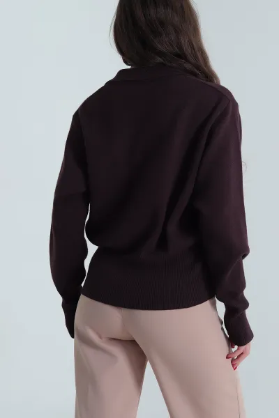 Mürdüm Polo Yaka Kadın Triko Kazak 489704