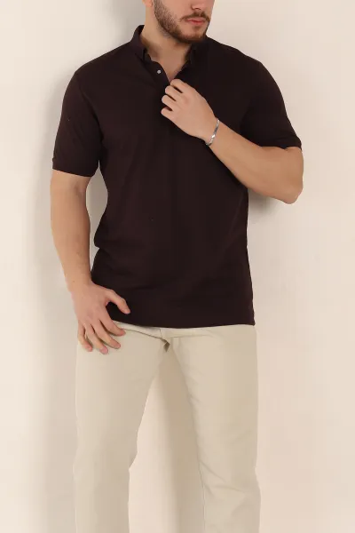 Mürdüm Regular Fit Dokulu Polo Yaka Erkek Tişört 342493