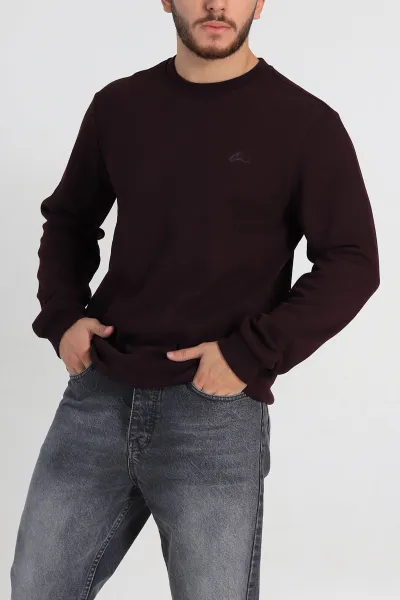 murdum-regular-fit-interlok-kumas-pike-doku-basic-erkek-sweatshirt-311090