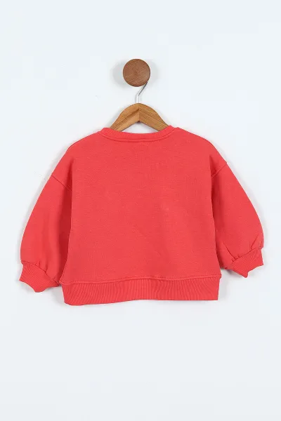 Nar Çiçeği (0-4 Yaş) Fiyonk Detaylı  3  İp Şardonlu Kız Çocuk Sweatshirt 415021