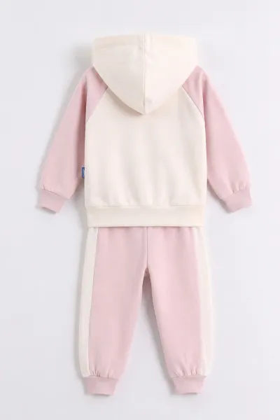Pembe (0-4 Yaş) Kalp Baskılı Kapüşonlu Fermuarlı Hırkalı Kız Çocuk 2 İp 3'lü Takım 471477