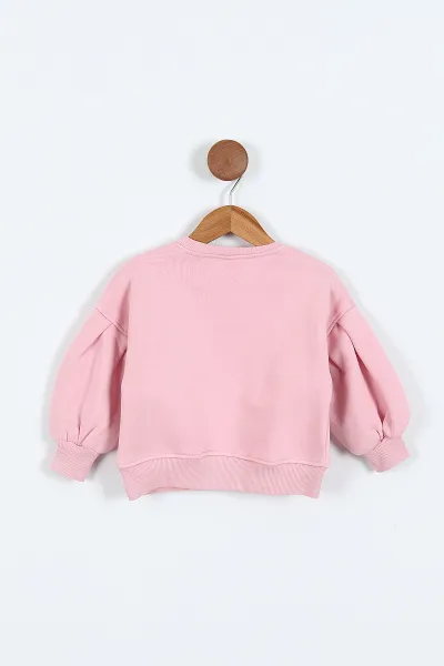 Pembe (0-4 Yaş)Çiçek Nakışlı Baskılı  3 İp Şardonlu Kız Çocuk Sweatshirt 417582