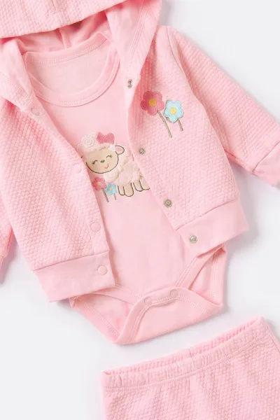 Pembe (0-9 Ay) Kuzu Nakışlı Zıbınlı Hırkalı 3'lü Kız Bebek Takım 475959