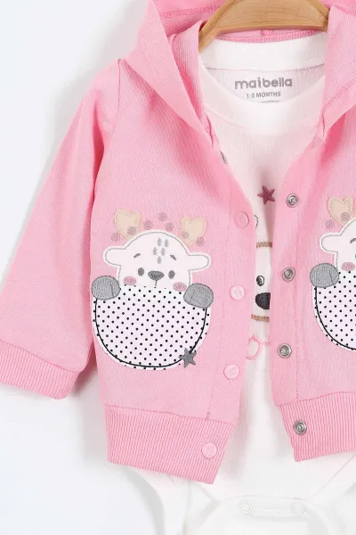 Pembe (1-12 Ay)  Ceylan Nakışlı  Kapüşonlu Hırkalı Zıbınlı Kız Bebek 3'lü Takım 384006