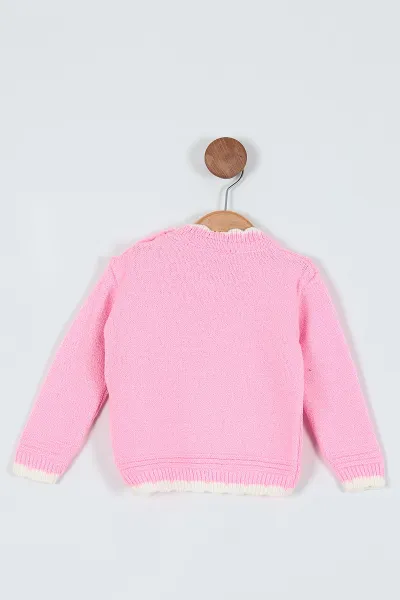 Pembe (1-4 Yaş) Ayıcık Nakışlı Kız Çocuk Kazak 235866